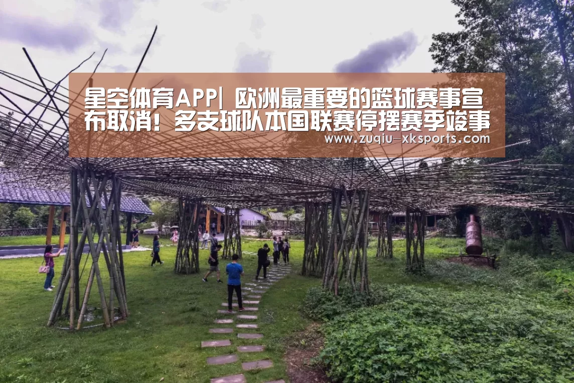 星空体育APP|
欧洲最重要的篮球赛事宣布取消！多支球队本国联赛停摆赛季竣事