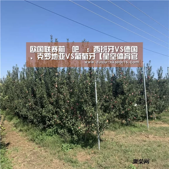 星空体育下载