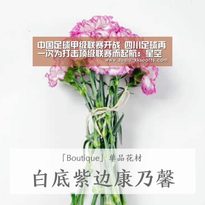 
中国足球甲级联赛开战 四川足球再一次为打击顶级联赛而起航：星空体育官网